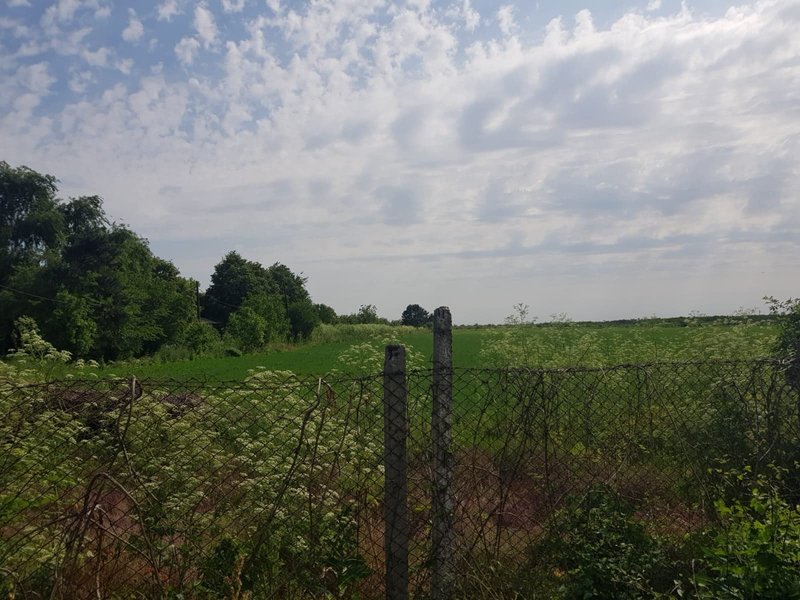 Adunatii Copaceni, 40 ha, d. 800 m